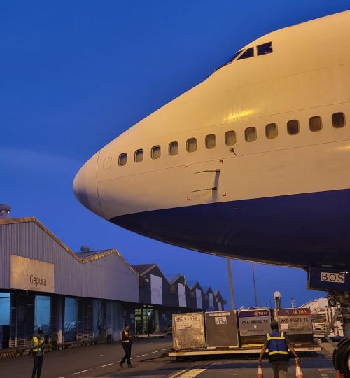 WhatsApp Image 2024-10-14 at 05.24.02.jpeg